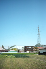 春の朝＠2017-04-18