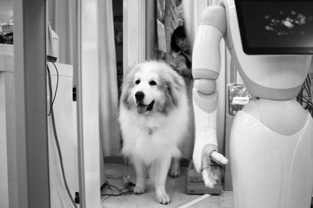 お店番してるココさん