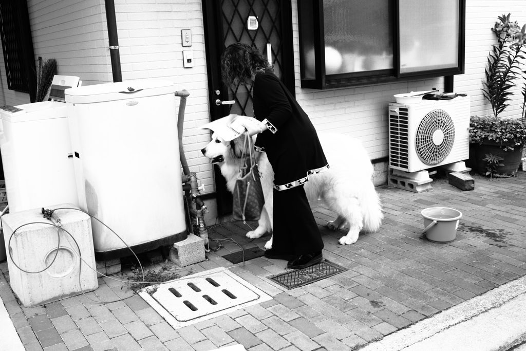 モノクロ＠2019-07-05