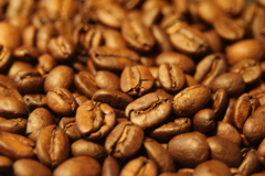 暑い日でもあえてホットで　マンデリン