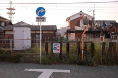 イミフ系朝写真