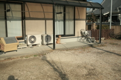 番犬してるウルちゃん