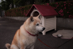 松山へ行く