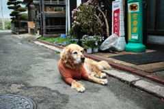 宿番のみゅうちゃん