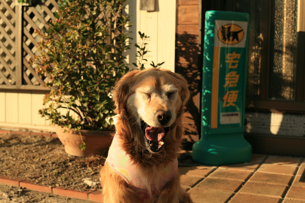 成人の日＠2019-01-14