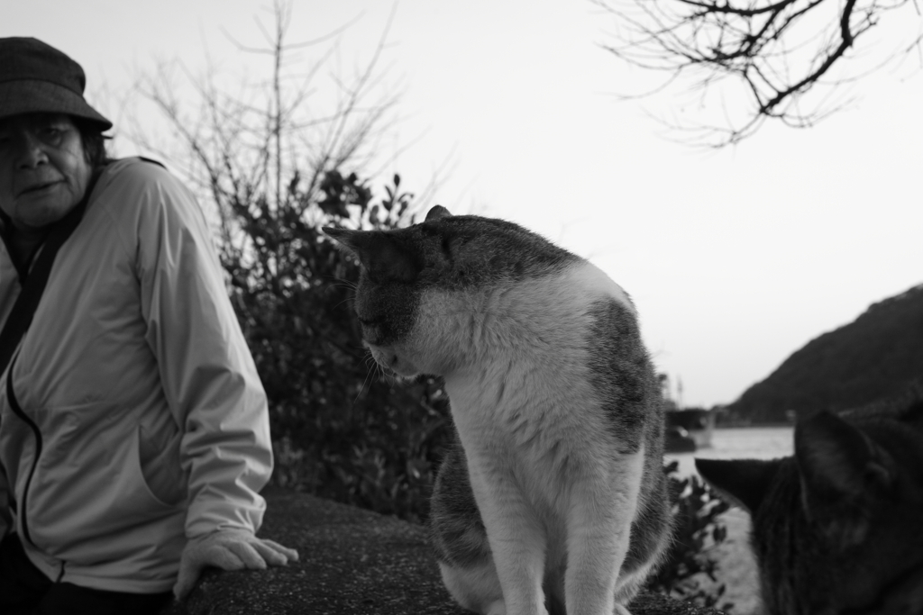 モノクロ＠2020‐03‐21