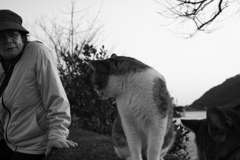 モノクロ＠2020‐03‐21