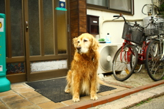 みゅうちゃんはお宿番