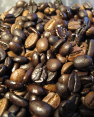 きっとウンマーだ