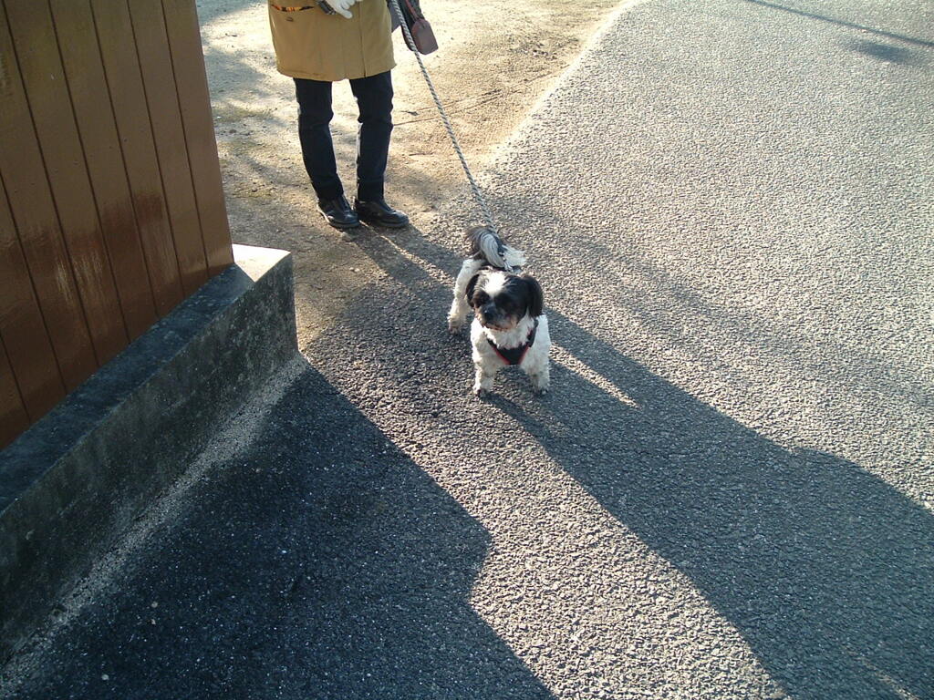 CCD機は写りが優しいな