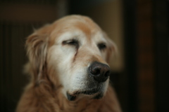 ＠2019-06-10