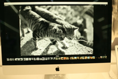 5Kモニター、見た目が生ですな