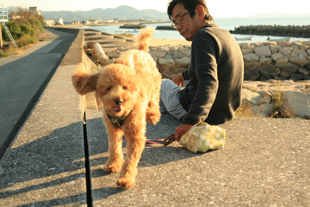 あわあわしてるコマちゃん