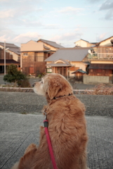 2017-02-06 カラー　７