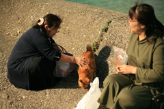 今日もFB友達と遊ぶ