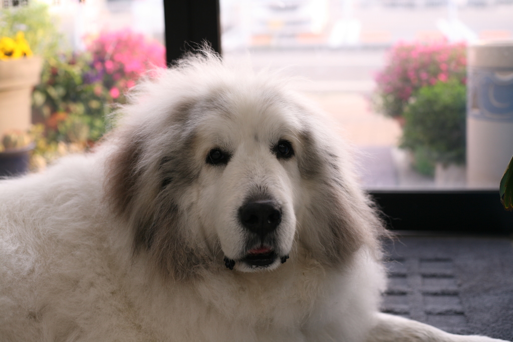 夕方も暇だな～～