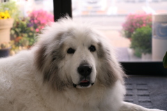 夕方も暇だな～～