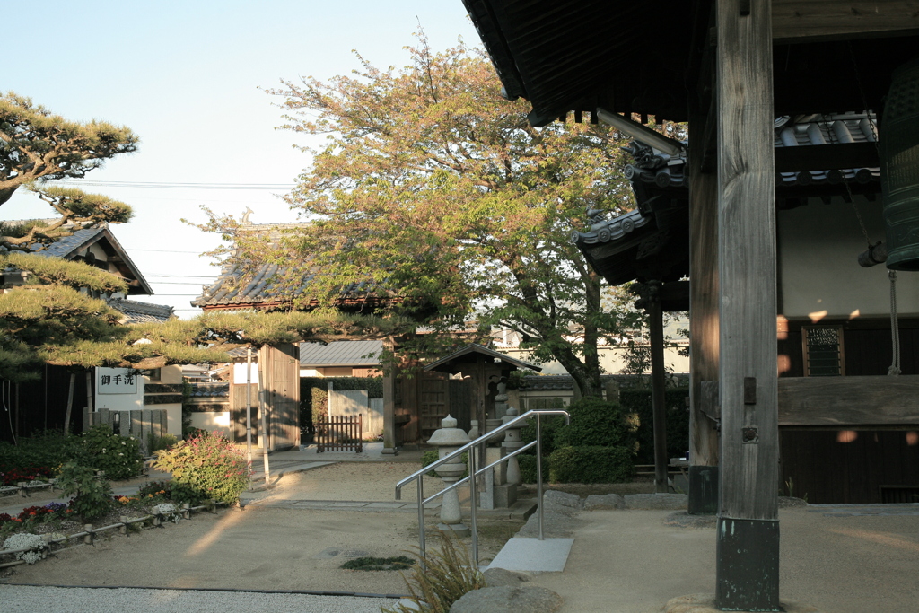 法然寺（ほうねんじ）にて