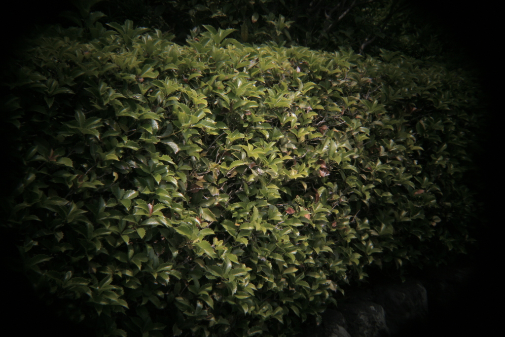 ホルガのトイレンズにて