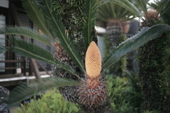 ＠2020‐07‐01朝