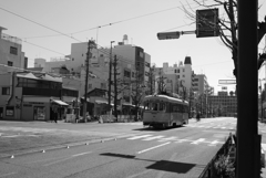 松山に遊びに行く　５