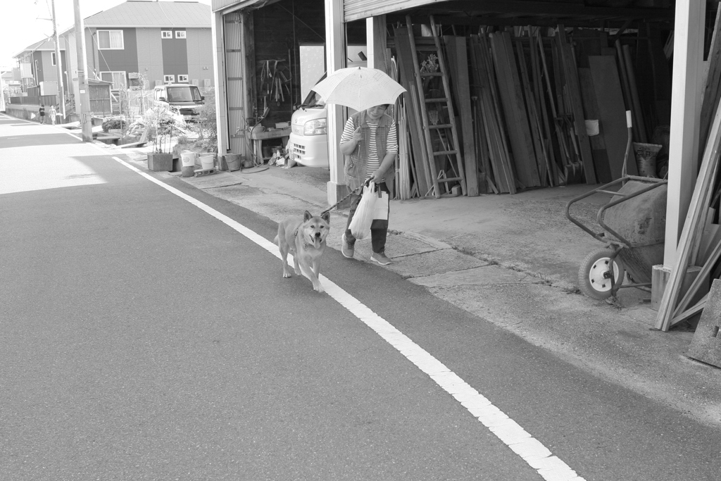 お母さんと散歩してるモクちゃん