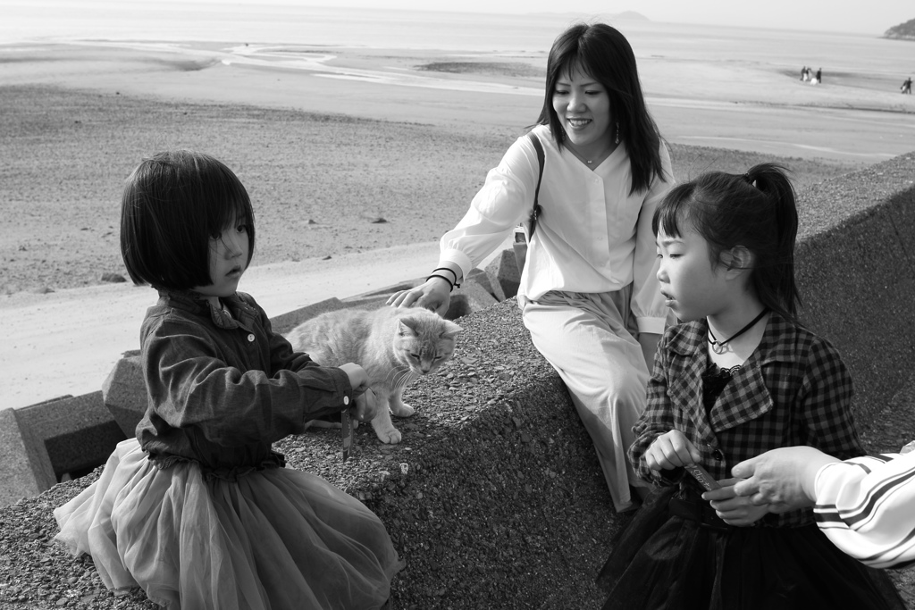 奥本さんご一行様　モノクロ