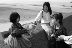 奥本さんご一行様　モノクロ