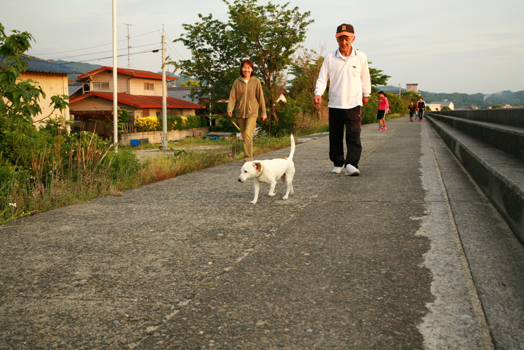 散歩してるククルちゃん