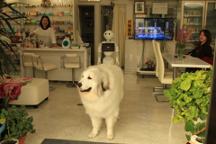@2018-04-05