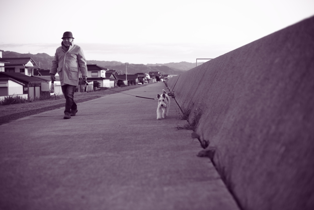 雨だから焼き直し　調色紫