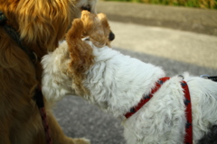 みゅうちゃん＆アビィちゃん