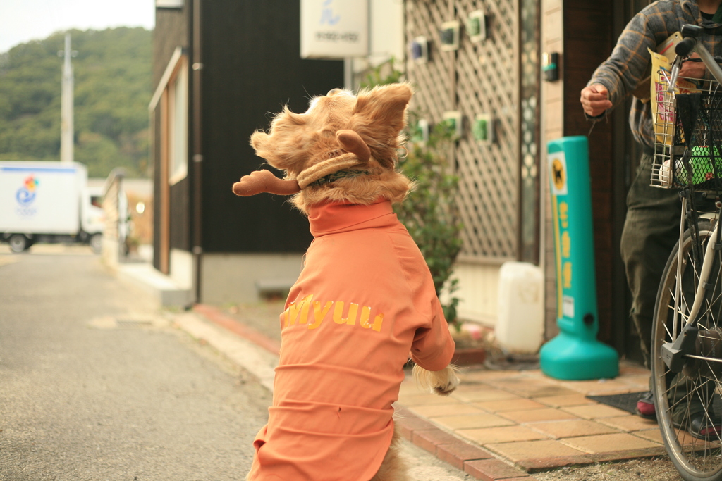 わんわんクッキーをキャッチするみゅうちゃん
