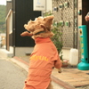 わんわんクッキーをキャッチするみゅうちゃん
