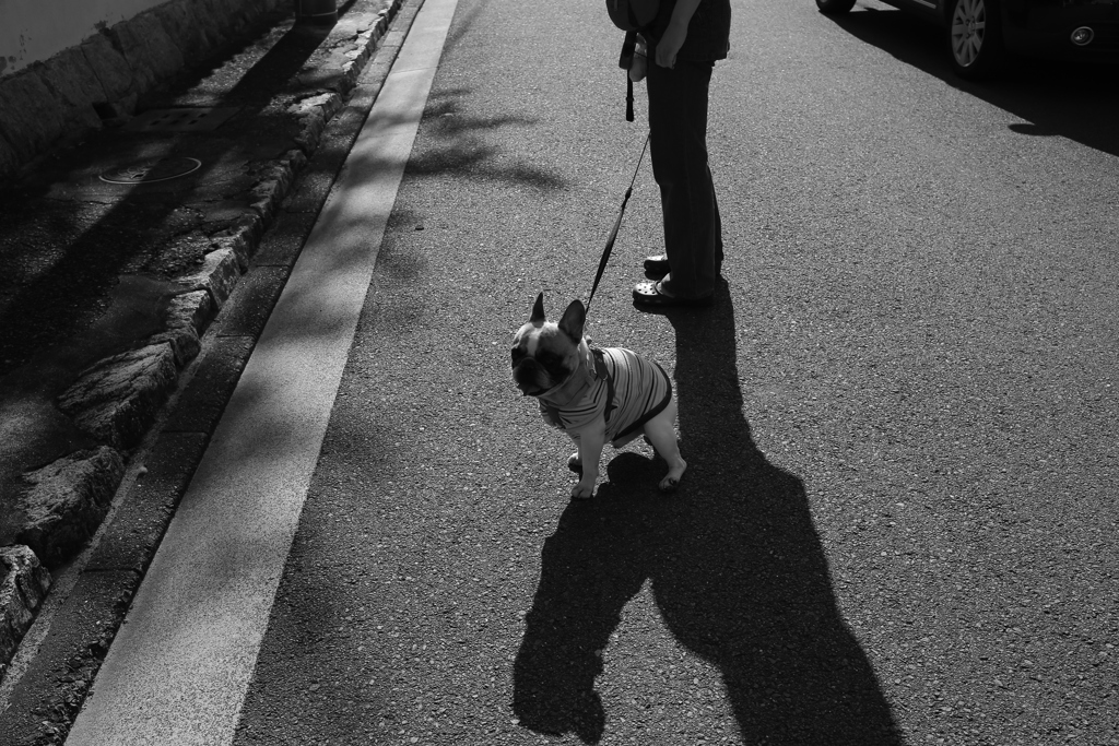 久しぶりのEF40mmにて