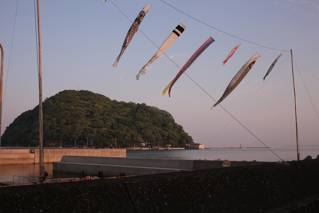 イミフ系朝写真