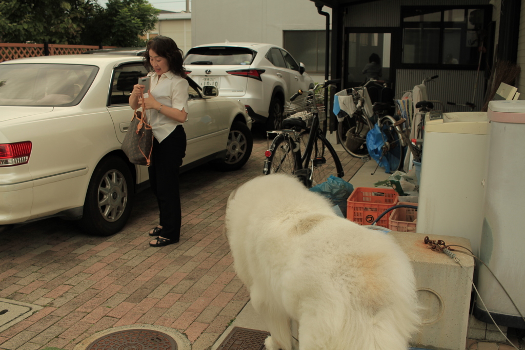 帰ってきたお母さんを出迎えるココさん