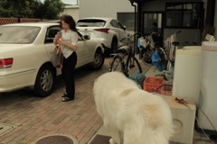 帰ってきたお母さんを出迎えるココさん