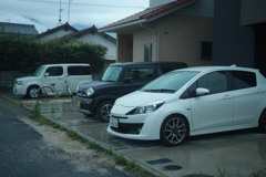 朝写真　古いEFズームレンズにて