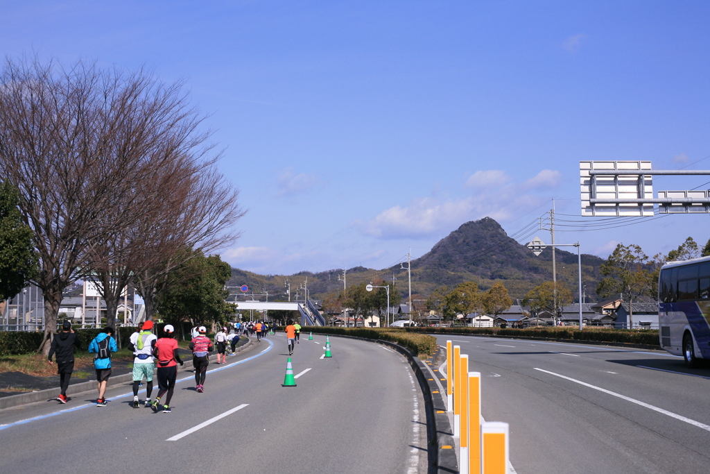愛媛マラソン2019