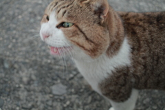 寒いぜよ！！