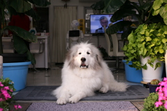 夕方も暇だな～～