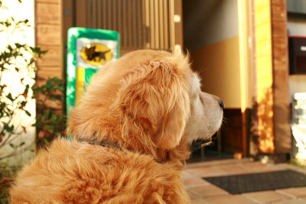 日曜＠2019‐10‐13