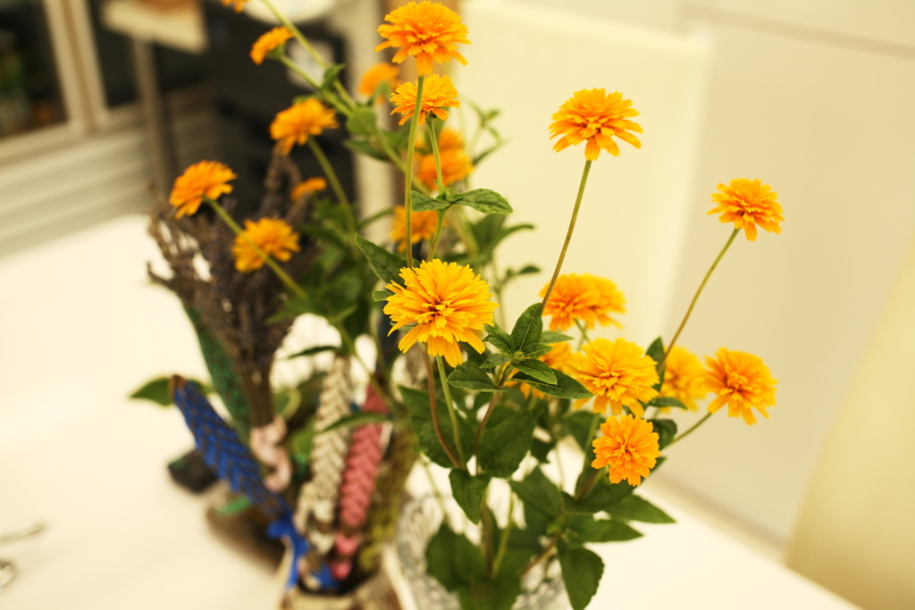 ココさん所の生け花