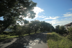 20‐35㎜『ゴンタ君』にて