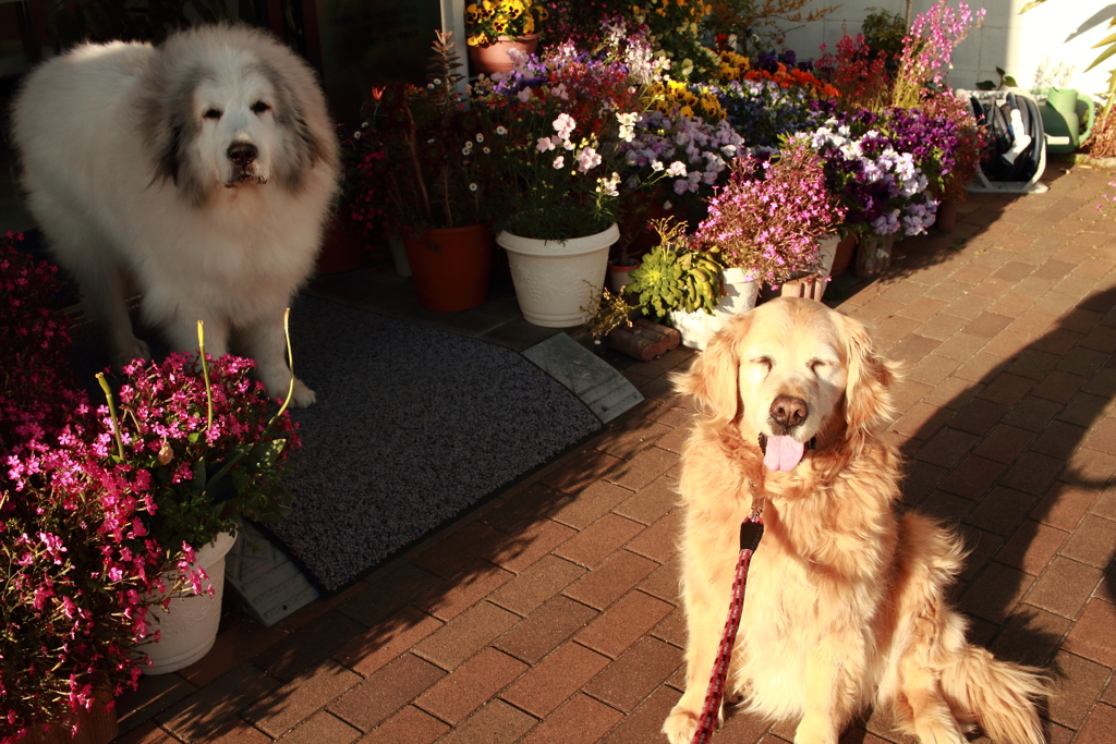 みゅうちゃんとココさん所へ行く