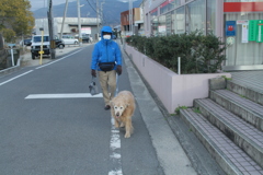 坂田さんと郵便局に来たみゅうちゃん