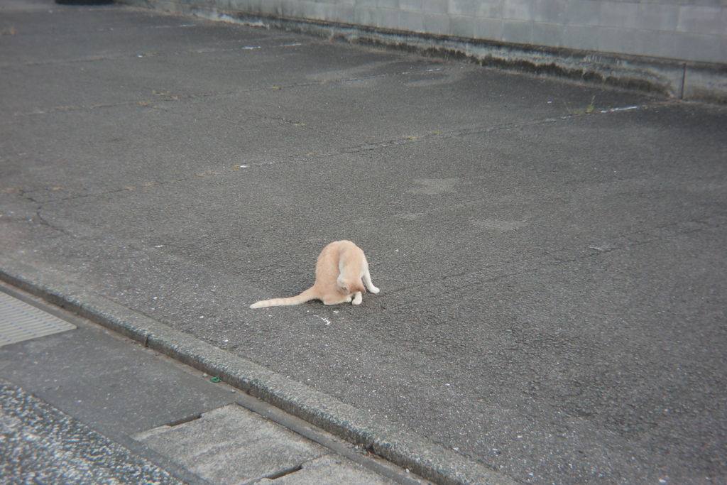 朝＠2020‐08‐11