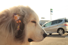 本格的に寒い＠2018-01-11