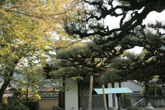 法然寺（ほうねんじ）にて